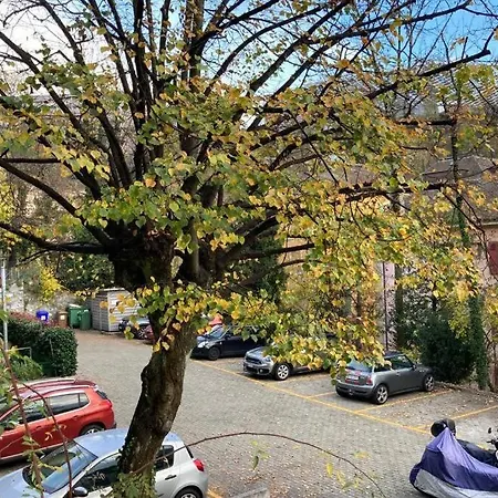 Parking&appartement 2 Pièces Sans Traffic Losanna